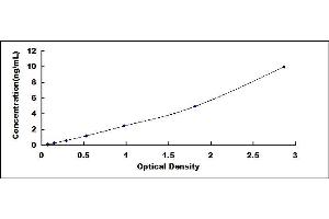 Typical standard curve (WNT10B ELISA Kit)