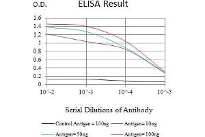 Black line: Control Antigen (100 ng),Purple line: Antigen (10 ng), Blue line: Antigen (50 ng), Red line:Antigen (100 ng) (CTNNBL1 antibody  (AA 390-557))