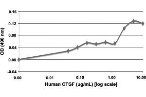 Serial dilutions of human CTGF, starting at 10 ug/mL, were added to HUVECs cultured without EGF. (CTGF Protein)