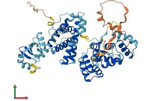 Protein Structure (PS) image for Primase, DNA, Polypeptide 2 (58kDa) (PRIM2) (AA 1-509) protein (His tag) (ABIN7550922)