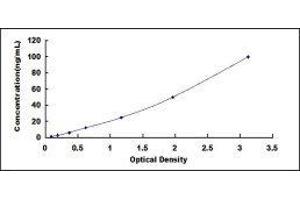 ELISA image for Thrombomodulin (THBD) ELISA Kit (ABIN416379)
