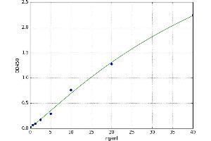 Solute Carrier Family 1 (Glial High Affinity Glutamate Transporter), Member 3 (SLC1A3) ELISA Kit