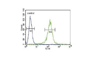 RDH10 Antibody (Center) (ABIN650935 and ABIN2840001) flow cytometric analysis of NCI- cells (right histogram) compared to a negative control cell (left histogram). (RDH10 antibody  (AA 106-135))