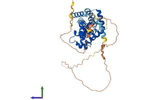 Protein Structure (PS) image for Cyclin I (CCNI) (AA 1-377) protein (His tag) (ABIN7553211)