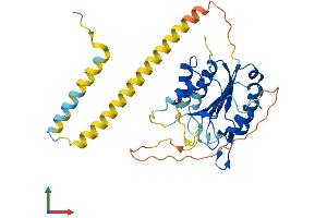 AlphaFold protein structure predicition of Human Recombinant CASP12 Protein, UniprotID Q6UXS9 (Caspase 12 Protein (AA 1-341) (His tag))