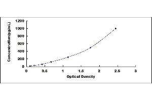 Typical standard curve (CCL24 ELISA Kit)