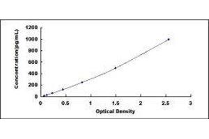 Bone Morphogenetic Protein 10 (BMP10) ELISA Kit