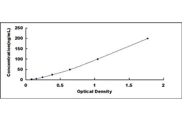 CD55 ELISA Kit