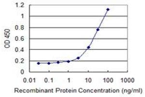 Detection limit for recombinant GST tagged NOVA1 is 1 ng/ml as a capture antibody. (NOVA1 antibody  (AA 1-507))