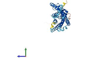 AlphaFold protein structure predicition of Human Recombinant OR4C5 Protein, UniprotID Q8NGB2 (OR4C5 Protein (AA 1-326) (His tag))