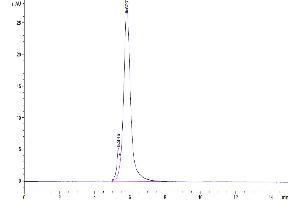 Size-exclusion chromatography-High Pressure Liquid Chromatography (SEC-HPLC) image for CD24 Molecule (CD24) (AA 27-59) protein (Llama Fc Tag) (ABIN7274119)