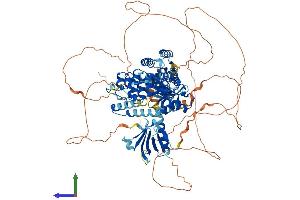 AlphaFold protein structure predicition of Mouse Recombinant Agap3 Protein, UniprotID Q8VHH5 (AGAP3 Protein (AA 1-910) (His tag))