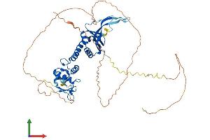 AlphaFold protein structure predicition of Human Recombinant BTBD10 Protein, UniprotID Q9BSF8 (BTBD10 Protein (AA 1-475) (His tag))