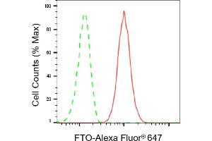 Flow cytometric analysis of FTO expression in HepG2 cells using FTO antibody (ABIN7798580), 1:2,000). (Recombinant FTO antibody)