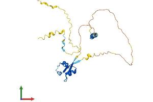 Protein Structure (PS) image for LysM, Putative Peptidoglycan-Binding, Domain Containing 1 (LYSMD1) (AA 1-226) protein (His tag) (ABIN7560830)