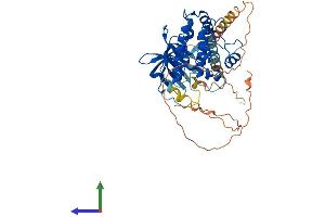 Protein Structure (PS) image for Calcium/calmodulin-Dependent Protein Kinase IV (CAMK4) (AA 1-473) protein (His tag) (ABIN7554230)