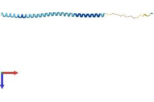 AlphaFold protein structure predicition of Human Recombinant VAMP5 Protein, UniprotID O95183 (VAMP5 Protein (AA 1-116) (His tag))