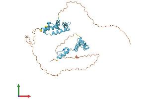 Protein Structure (PS) image for Zinc Finger Protein 396 (ZNF396) (AA 1-335) protein (His tag) (ABIN7545269)