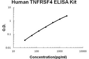 Human TNFRSF4/OX40 Accusignal ELISA Kit Human TNFRSF4/OX40 AccuSignal ELISA Kit standard curve. (TNFRSF4 ELISA Kit)
