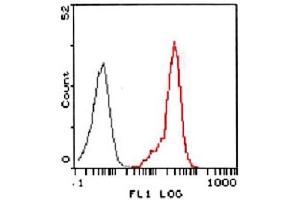 Flow cytometric analysis of HL-60 cells using FPR2 using FPR2 polyclonal antibody  (red) compared to a nonspecific negative control antibody (black). (FPR2 antibody  (2nd Extracellular Loop))
