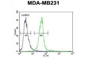 Flow Cytometry (FACS) image for anti-Myozenin 1 (MYOZ1) antibody (ABIN3002281) (Myozenin 1 antibody)
