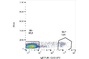 Flow cytometry (surface staining) of IgE in human peripheral blood lymphocytes with anti-IgE (BE5) purified, GAM-APC. (Mouse anti-Human IgE Antibody)