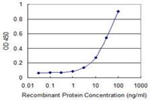 Detection limit for recombinant GST tagged FOXM1 is 1 ng/ml as a capture antibody. (FOXM1 antibody  (AA 22-110))