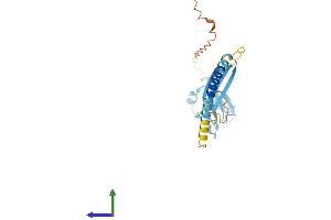 Protein Structure (PS) image for Cell Death-Inducing DFFA-Like Effector B (CIDEB) (AA 1-219) protein (His tag) (ABIN7562531)