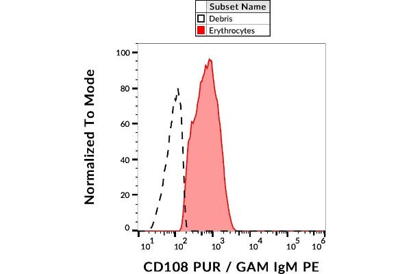 SEMA7A antibody