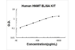 Histamine N-Methyltransferase (HNMT) ELISA Kit