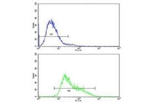 Flow cytometric analysis of CEM cells using IGHA1 antibody (bottom histogram) compared to a negative control (top histogram). (IGHA1 antibody  (AA 257-286))