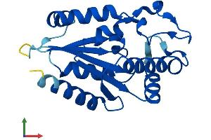 Protein Structure (PS) image for Integrin beta 1 Binding Protein 3 (ITGB1BP3) (AA 1-195) protein (His tag) (ABIN7561078)