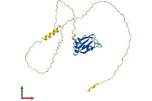 AlphaFold protein structure predicition of Mouse Recombinant Rbm7 Protein, UniprotID Q9CQT2 (RBM7 Protein (AA 1-265) (His tag))