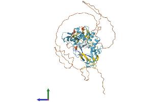 Protein Structure (PS) image for PR Domain Containing 14 (PRDM14) (AA 1-561) protein (His tag) (ABIN7562125)