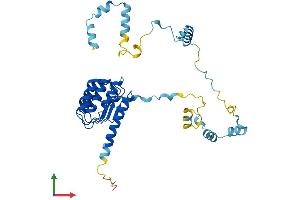 AlphaFold protein structure predicition of Mouse Recombinant Tmod1 Protein, UniprotID P49813