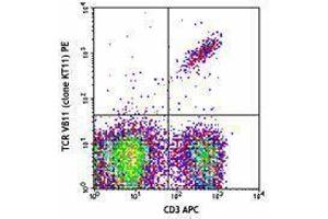 Flow Cytometry (FACS) image for anti-TCR V beta 11 antibody (PE) (ABIN2663913) (TCR V beta 11 antibody (PE))