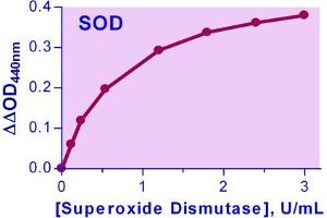 Biochemical Assay (BCA) image for Superoxide Dismutase Assay Kit (ABIN1000331) (Superoxide Dismutase Assay Kit)