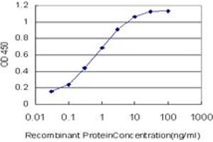 Detection limit for recombinant GST tagged EP300 is approximately 0. (p300 antibody  (AA 731-830))