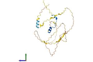 AlphaFold protein structure predicition of Mouse Recombinant Pou2af1 Protein, UniprotID Q64693