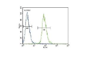 ETV5 Antibody (N-term) (ABIN654690 and ABIN2844382) flow cytometric analysis of 293 cells (right histogram) compared to a negative control cell (left histogram). (ETV5 antibody  (N-Term))