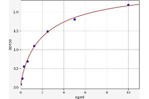 Typical standard curve (GATA5 ELISA Kit)