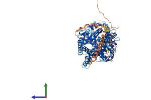 AlphaFold protein structure predicition of Mouse Recombinant Slc6a17 Protein, UniprotID Q8BJI1