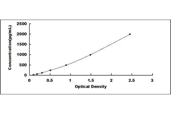 SLC6A4 ELISA Kit