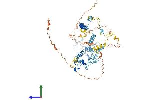 AlphaFold protein structure predicition of Mouse Recombinant Kansl2 Protein, UniprotID Q8BQR4