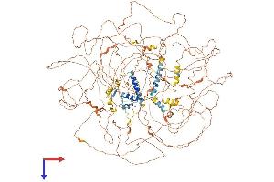 AlphaFold protein structure predicition of Human Recombinant BCL9L Protein, UniprotID Q86UU0 (BCL9L Protein (AA 1-1499) (His tag))
