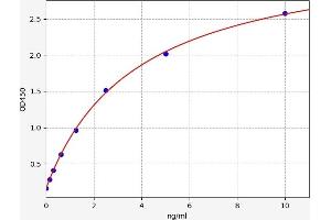 Typical standard curve (Nephrin ELISA Kit)