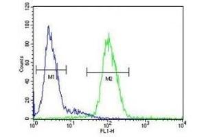 Ceruloplasmin antibody flow cytometric analysis of HepG2 cells (green) compared to a negative control (blue). (Ceruloplasmin antibody  (AA 121-151))