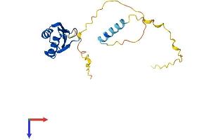 RNA Binding Motif Protein 18 (RBM18) (AA 1-190) protein (His tag)