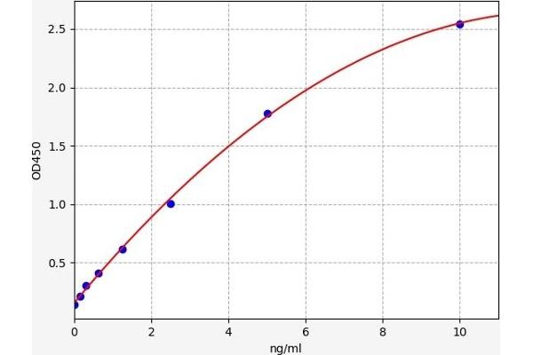 14-3-3 gamma ELISA Kit