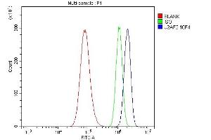 Flow Cytometry analysis of A549 cells using anti- U2AF65/U2AF2 antibody (ABIN7600794). (U2AF2 antibody  (AA 238-470))